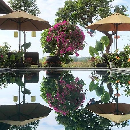 The Quin Riverside Villa Hoi An Luaran gambar